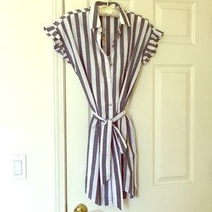 Blue-and-white striped button-down shirt dress